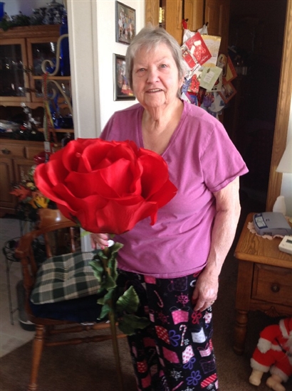 December 28, 2013 - Mom and her favorite flower