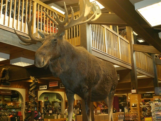 Inside the Kittery Trading Post store, in Kittery, Maine, our second trip to Maine.