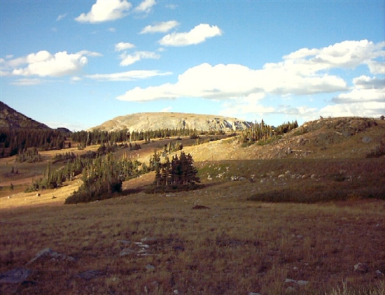 Area around Mount St. Helens.