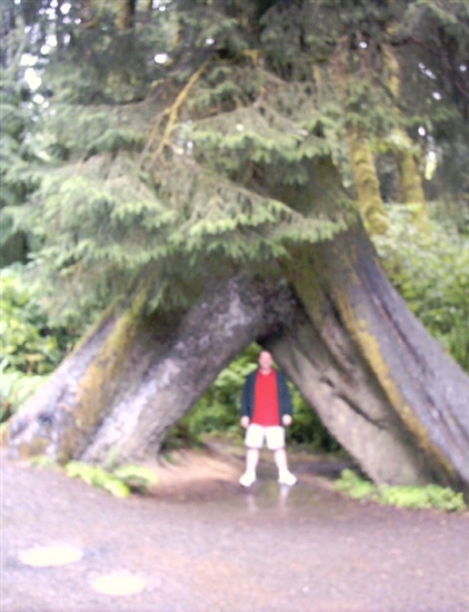 Todd underneath a huge tree that formed a triangular opening.