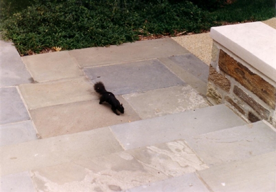 At the Washington National Cathedral - August 5, 1987 - Happy 57th Birthday Dad!